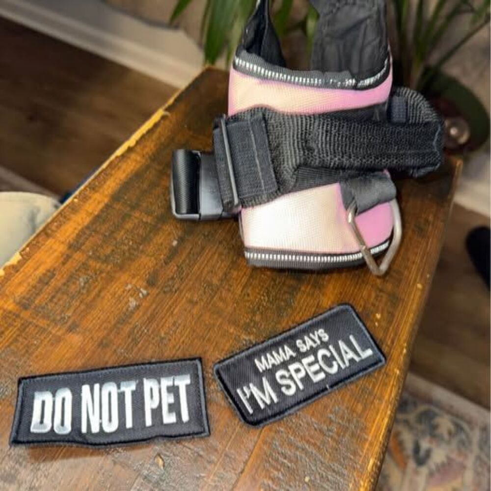 Pink Dog Harness with Patches small
